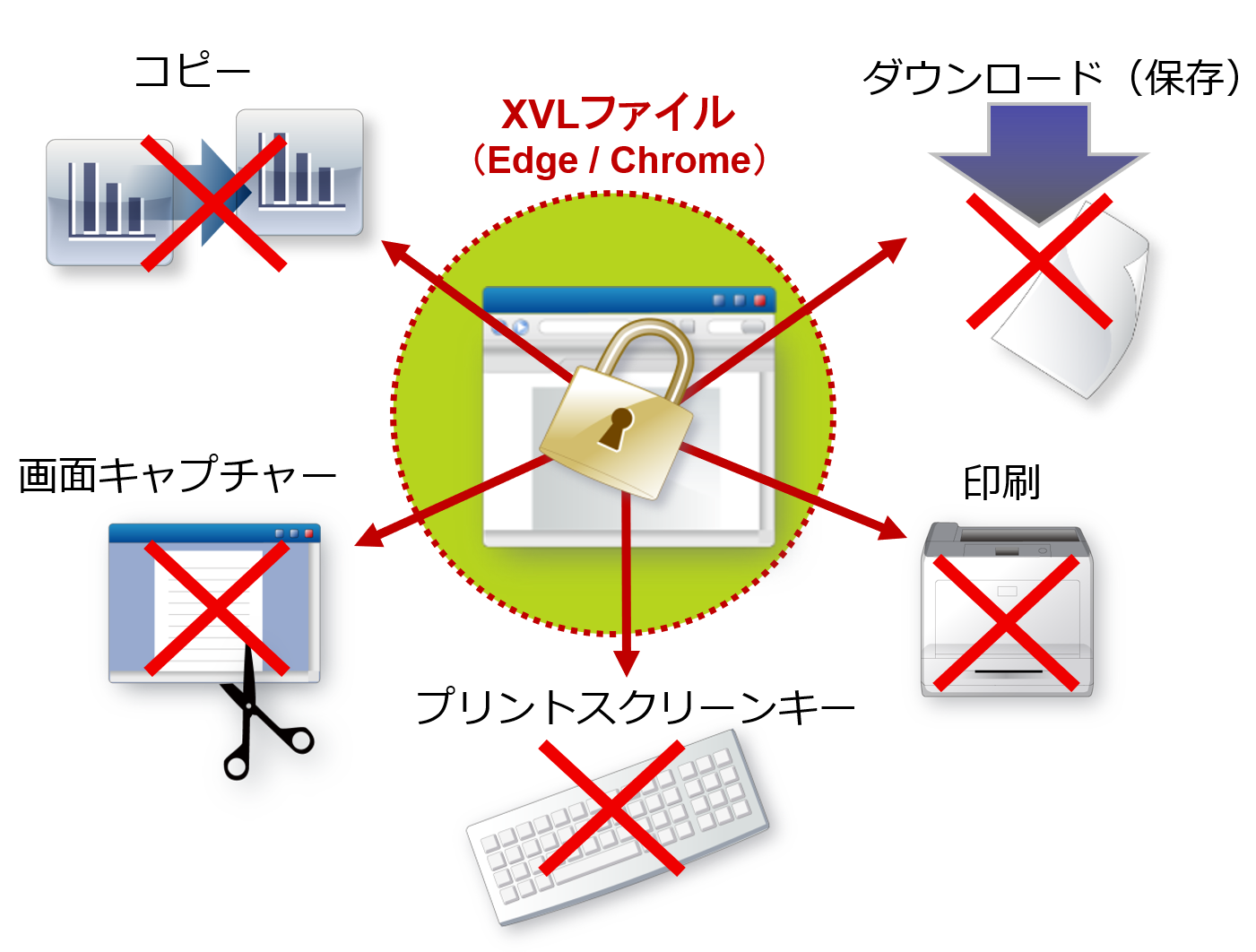 XVL Player保護オプション